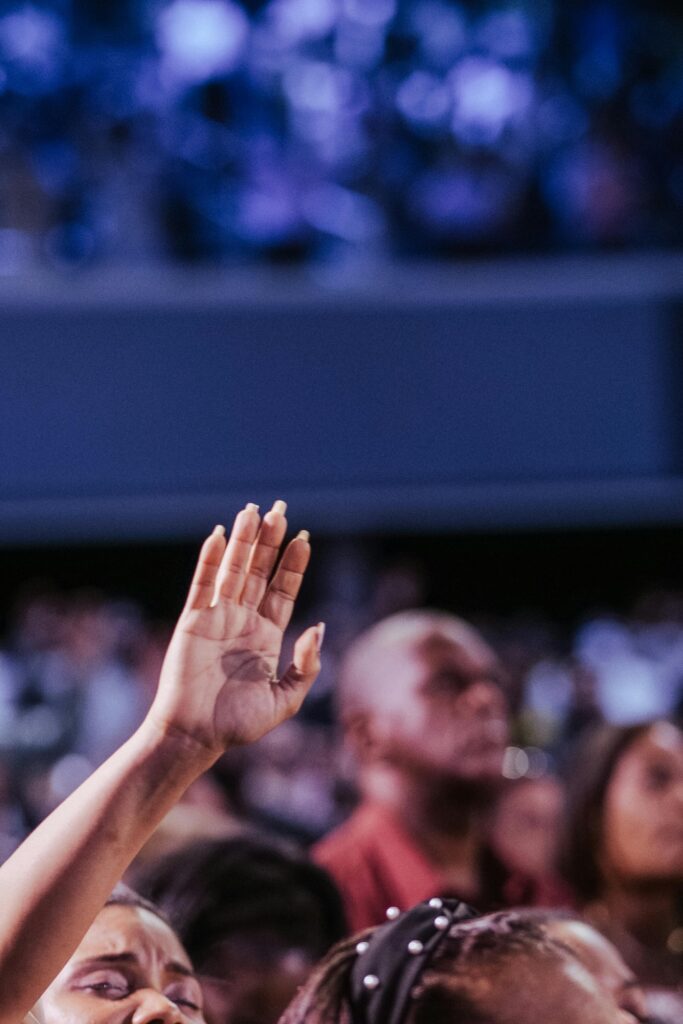 pexels jibarofoto 16102722